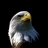 Fatfa2945's profile image