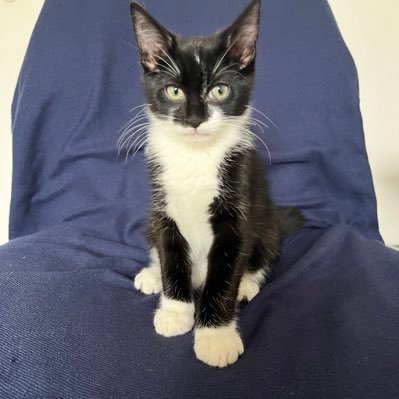 chec's profile picture. 🚀