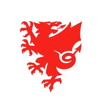 FA WALES Profile