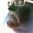 fjh_jgreene's profile image
