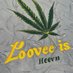 GreenLeafTheo Anderson (@ecotheoa) Twitter profile photo GreenLeafTheo Anderson (@ecotheoa) Twitter profile photo