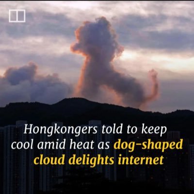 benson_c's profile picture. 