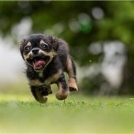 Emiri7743613913's profile picture. 副業で安定した収入を得る方法を共有中。副業を始めたい人に有益な情報を発信。少額ですがプレゼント企画もしています。 支援中➡ https://t.co/YogpxRR9Ds