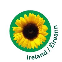 Hidden Disabilities Sunflower Ireland & N. Ireland (@sunflwrireland) 's Twitter Profile