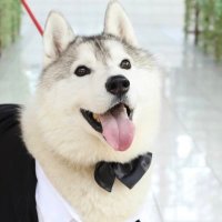 取违麻希 (@xi_qu7531) 's Twitter Profile