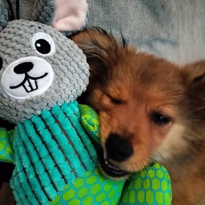 billythespitz's profile picture. 