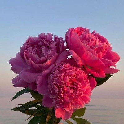 Computer Science student at KAU @FCITKAU 👩🏻💻🤍 الطموح هو البداية، والإصرار هو الطريق نحو القمة 🚀✨