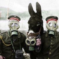 Yusuf Koçak (@yusufkocak) Twitter profile photo