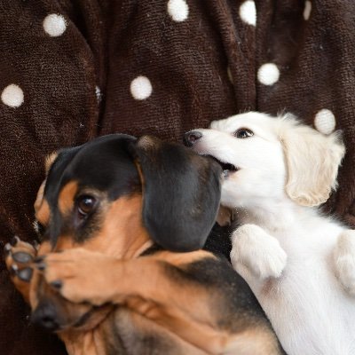 MasuiYukim76376's profile picture. 