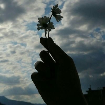 Revs2406's profile picture. 💕