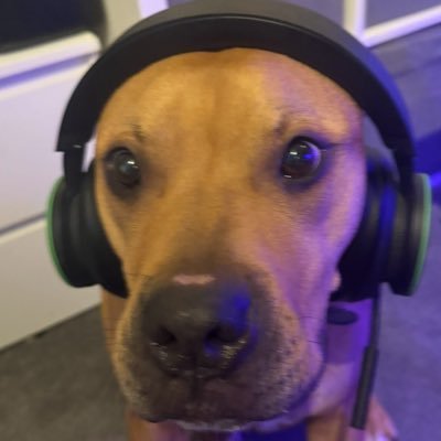 giggle_hangs's profile picture. best kbm xbox