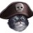 FUNNY PIRATE CAT