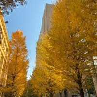 ハル@キャリコン・福祉・子育て (@life_career_ex) Twitter profile photo