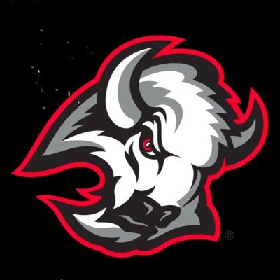 Jamroy2727's profile picture. Everything Sabres related