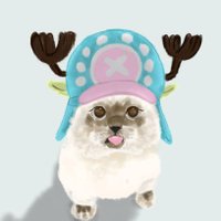 aasishraj (@aasishrajrr) 's Twitter Profile Photo