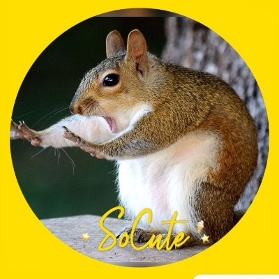 Javi04cor's profile picture. intento de estudiante, intento de ser humano, de todo