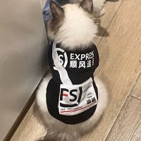 Max (@maxkewushou) 's Twitter Profile