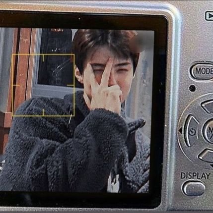 qhisxo's profile picture. almost hate everything and love many things at the same time
.
.
 Only Exol ☽̶