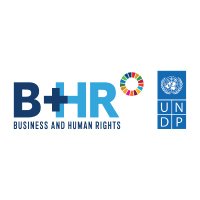 UNDP Business and Human Rights (@bizhrasia_undp) 's Twitter Profile Photo UNDP Business and Human Rights (@bizhrasia_undp) 's Twitter Profile Photo
