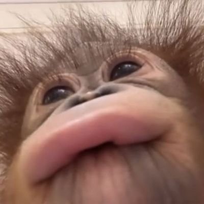 monkeymagic122's profile picture. 