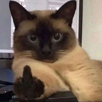~TheFutureGoat~ (@q_vader14) 's Twitter Profile