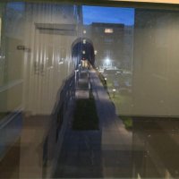 شذا. (@shathashares) Twitter profile photo