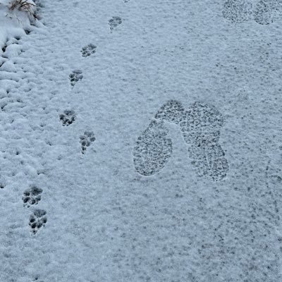 numati_07734's profile picture. いちに