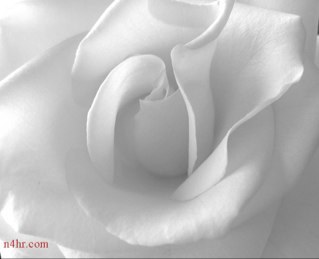 5althweney's profile picture. لمن شرف 5lloOd بالمتابعه هذا حسابي الجديد لتغريد