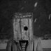 Черепаха (@che_repaxa) Twitter profile photo Черепаха (@che_repaxa) Twitter profile photo