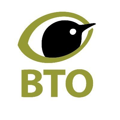 BTO Profile