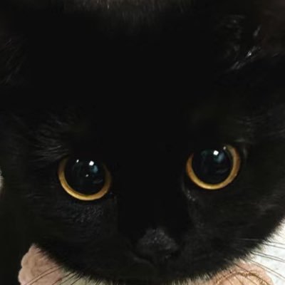 พุงตันล์さんのプロフィール画像