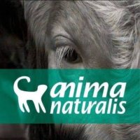 AnimaNaturalisMéxico (@animanat_mexico) 's Twitter Profile