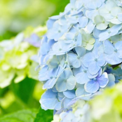 20⤴︎︎︎ 山姥切国広 桑名江 豊前江推し くわぶぜ 本丸実録の独り言 https://t.co/Z834MVqlwU