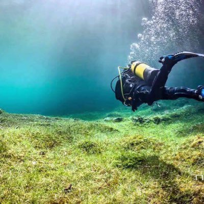 saltimbocca12's profile picture. cazzeggio utile