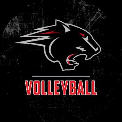 The Official Twitter account for the Clark Atlanta Women's Volleyball team! 🏐🐾
2012 SIAC Champions 🏆