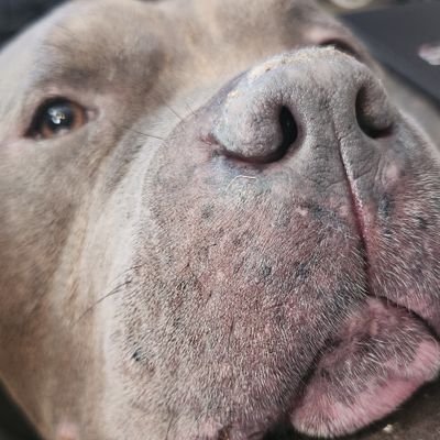 jasonbr37876753's profile picture. 