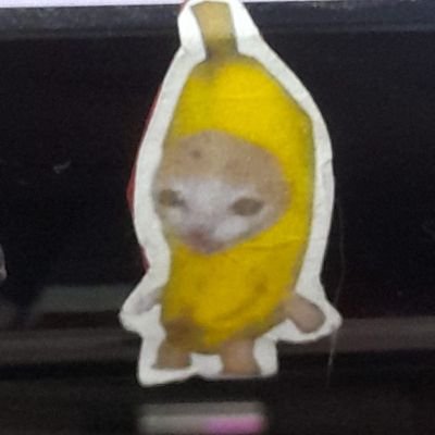 amovaloran45160's profile picture. ☆