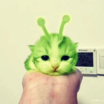 bratbbyx's profile picture. idk how to use twitter