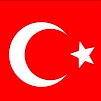 bedirhant4's profile picture. 