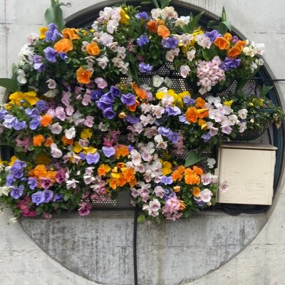 korosukedesuyon's profile picture. アラサー男子。自分に常に問う、誰に何ができる？やる奴はやる。