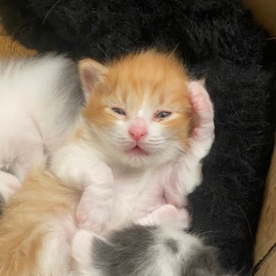 moka00371's profile picture. ✌︎︎ ( + ㅁ _ ㅋ)...-☆