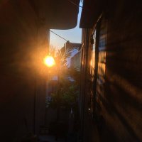 Kay (@papersheet123) 's Twitter Profile