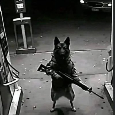 r0k3r13's profile picture. 
