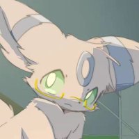 RollHIty (@qaqzqwq) 's Twitter Profile Photo RollHIty (@qaqzqwq) 's Twitter Profile Photo