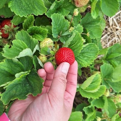 derpinsel's profile picture. https://t.co/JzFmb7cneX