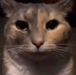 joque94's profile picture. ay.