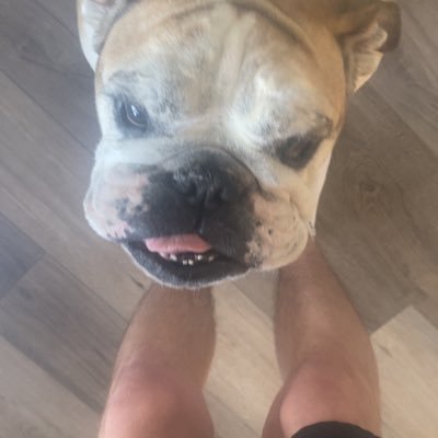 BeatdaBookz's profile picture. Absolute Degen just trying to beat the books… LOTTOS ONLY 🚀💰💸