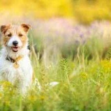 AndrewSpoj7874's profile picture. 