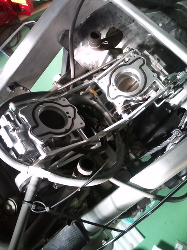 GGG555OOO's profile picture. 