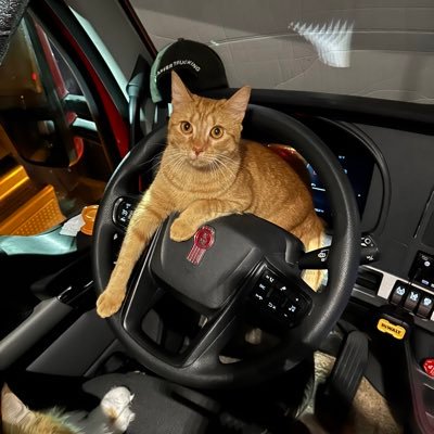 GoldaSweetfeet's profile picture. Christian, wife, two fur babies,southern born and bred, thankful for my loving husband . 🚫Porn🚫 crypto 🚫webcam. Three things will have you blocked promptly